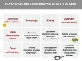 Czym zastąpić oliwę z oliwek? Sprawdzone alternatywy dla zdrowia