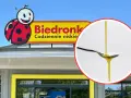 Ile kosztuje oliwa z oliwek w Biedronce? Ceny, promocje i porady