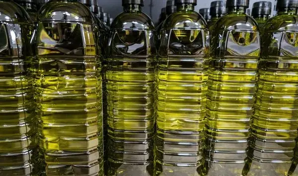 Dlaczego oliwa z oliwek jest gorzka? Odkryj tajemnice smaku i zdrowia