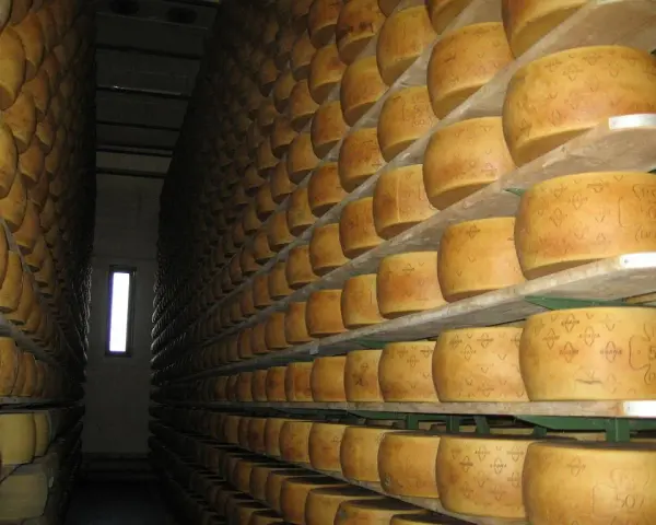 Czy grana padano to parmezan? Odkryj kluczowe różnice i smaki